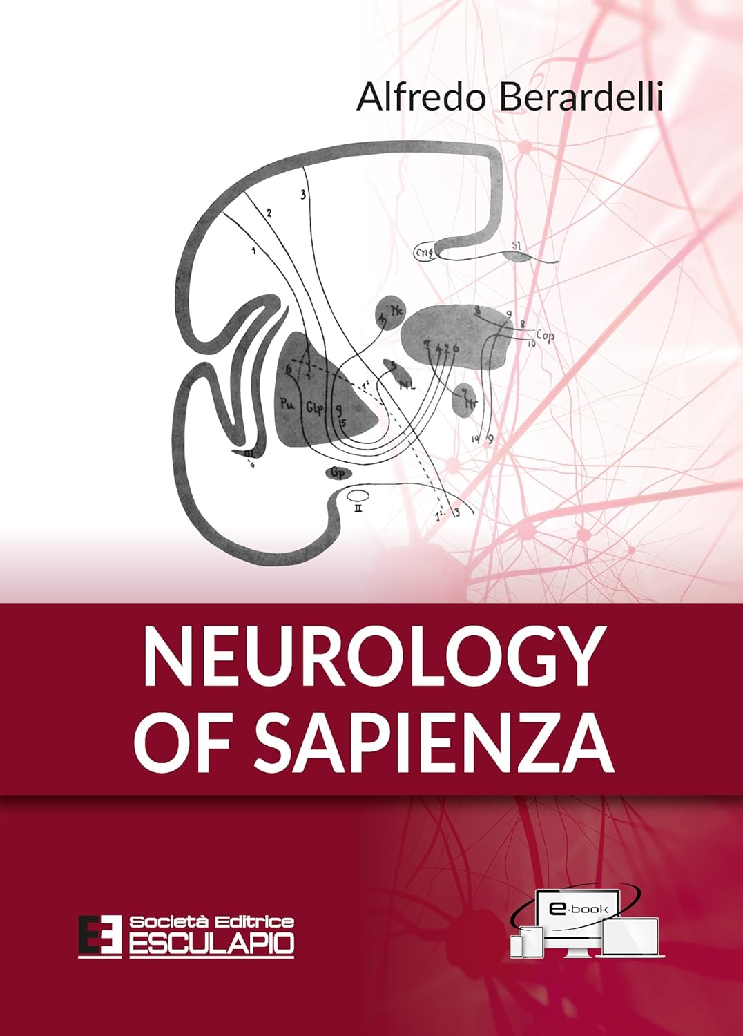 Neurology of Sapienza