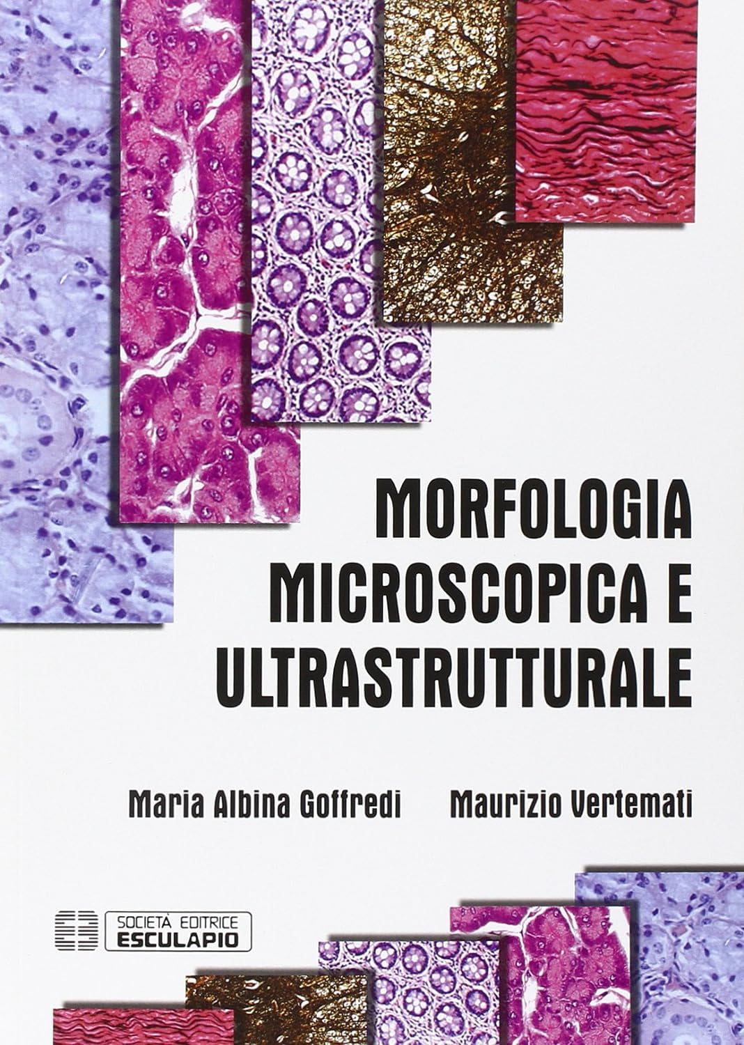 Morfologia microscopica e ultrastrutturale - Istologia e anatomia microscopica