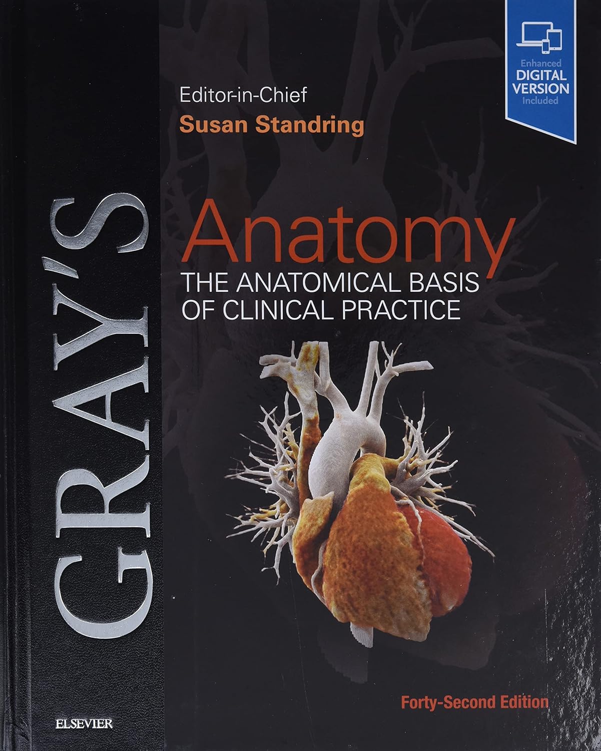 Gray's Anatomy