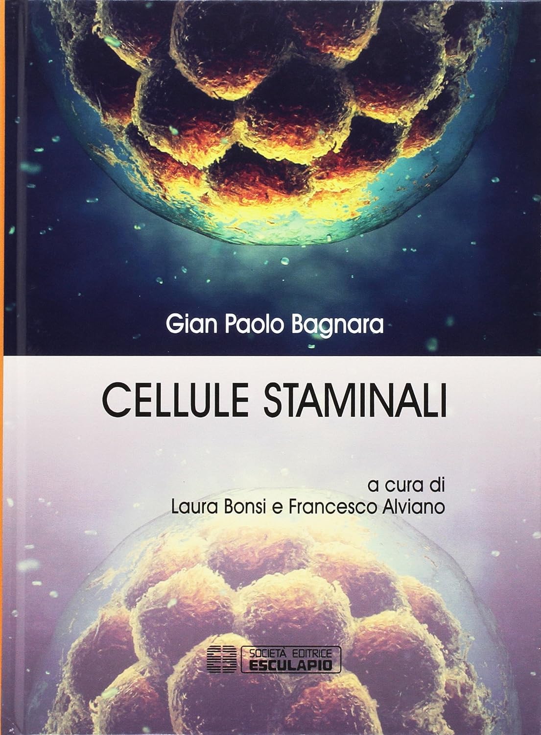 Cellule staminali