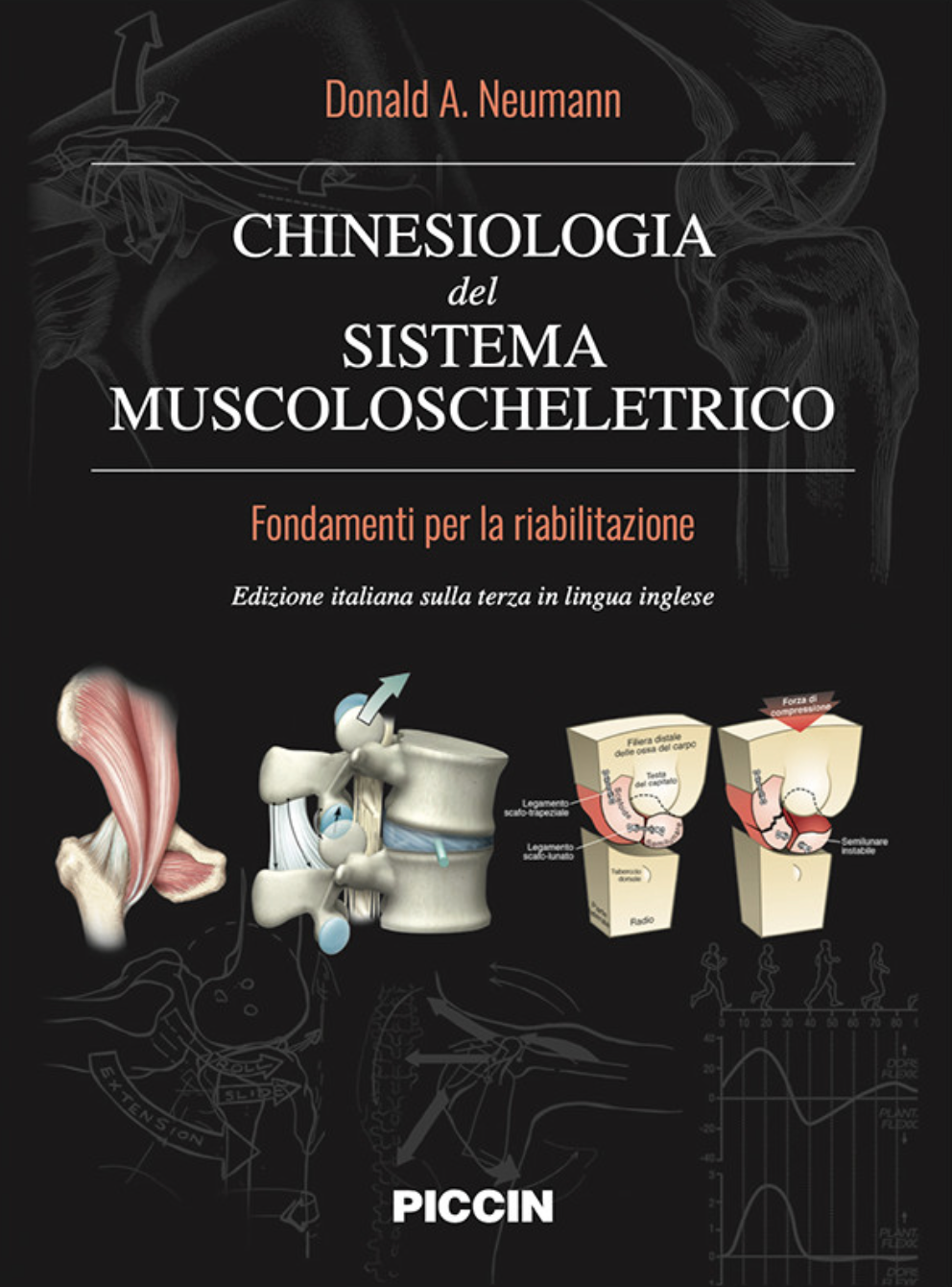 Chinesiologia del sistema muscolo scheletrico