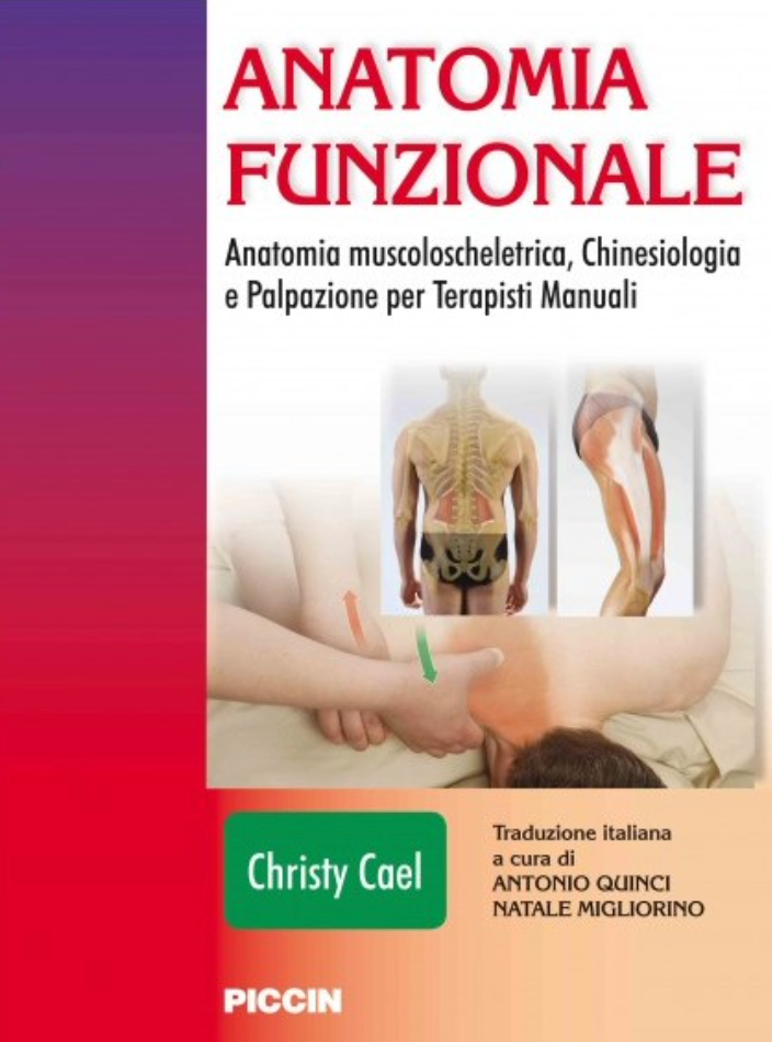 Anatomia funzionale