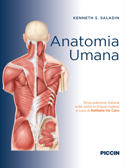 Anatomia umana