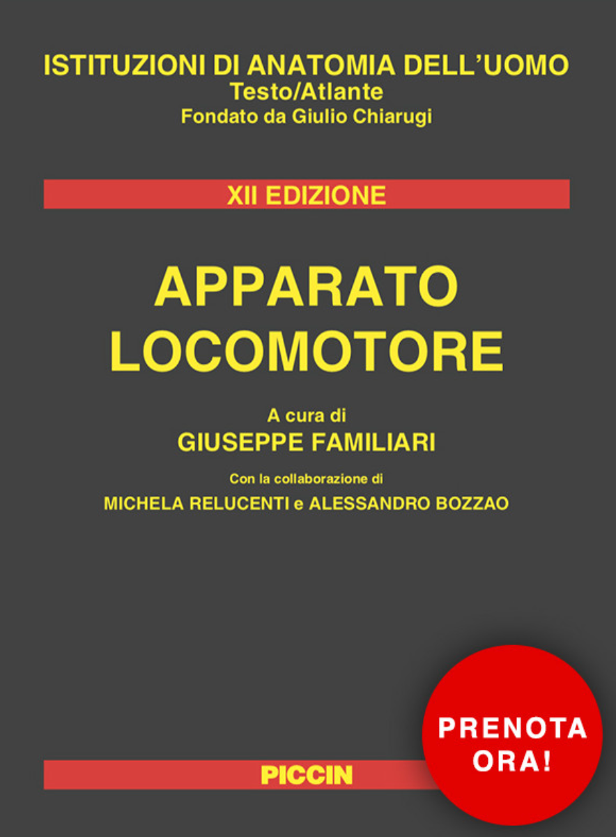 Apparato Locomotore