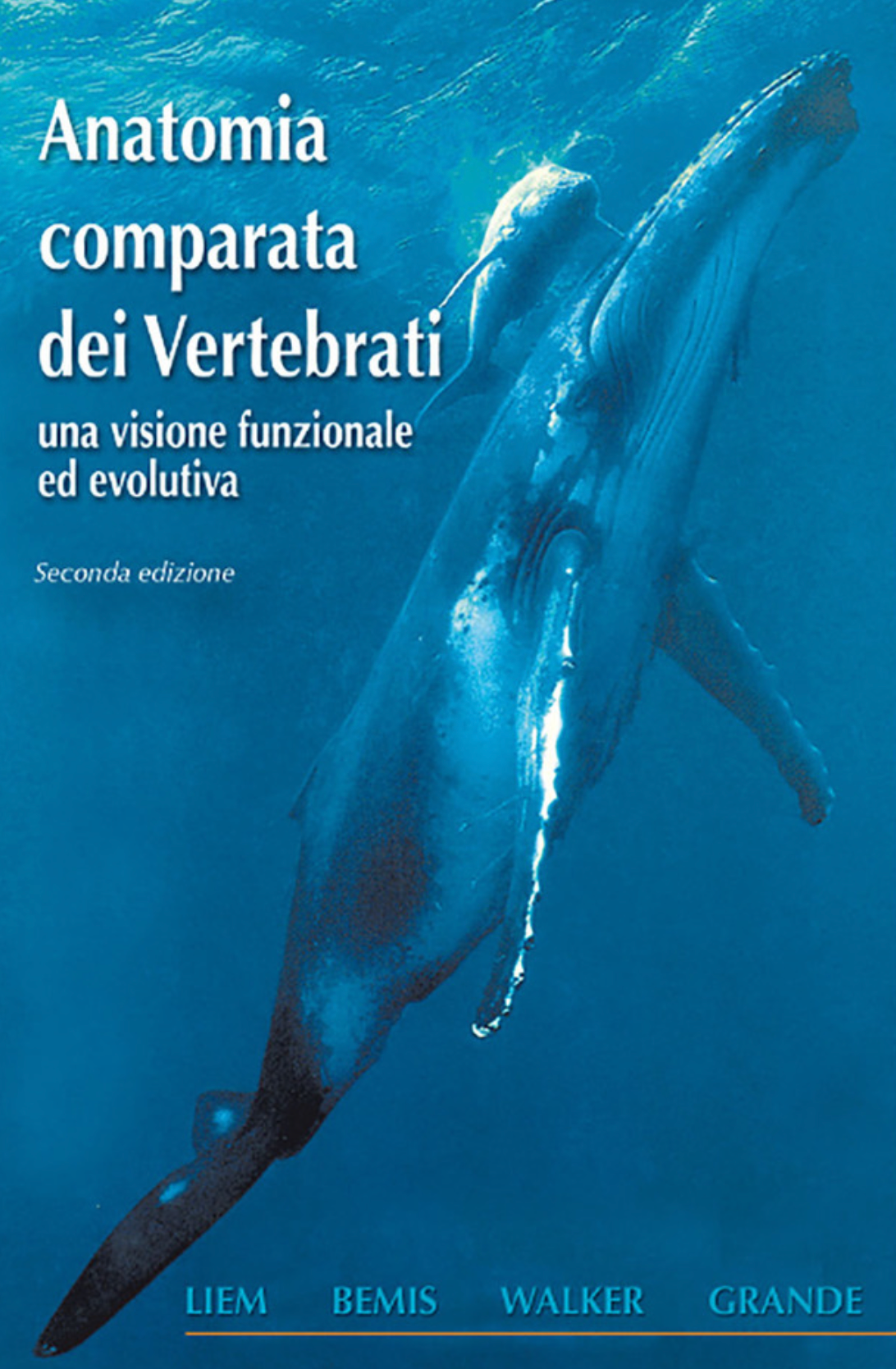 Anatomia comparata dei vertebrati - una visione funzionale ed evolutiva