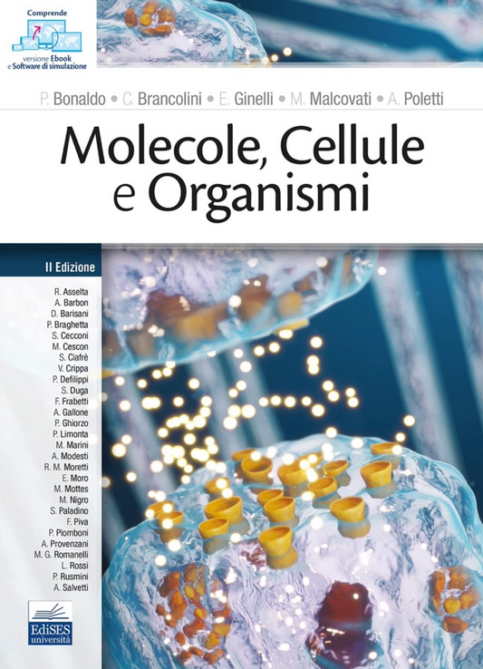 Molecole, Cellule e Organismi