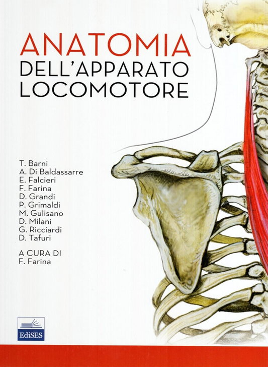 Anatomia dell'apparato locomotore