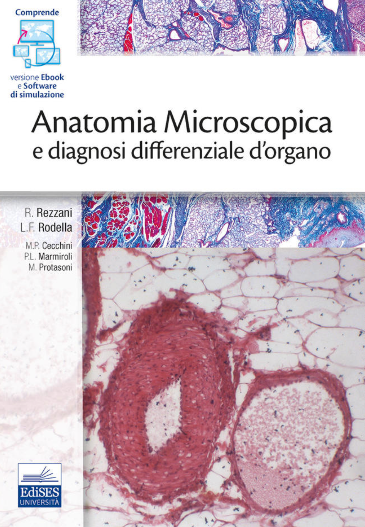 Anatomia Microscopica e diagnosi differenziale d'organo