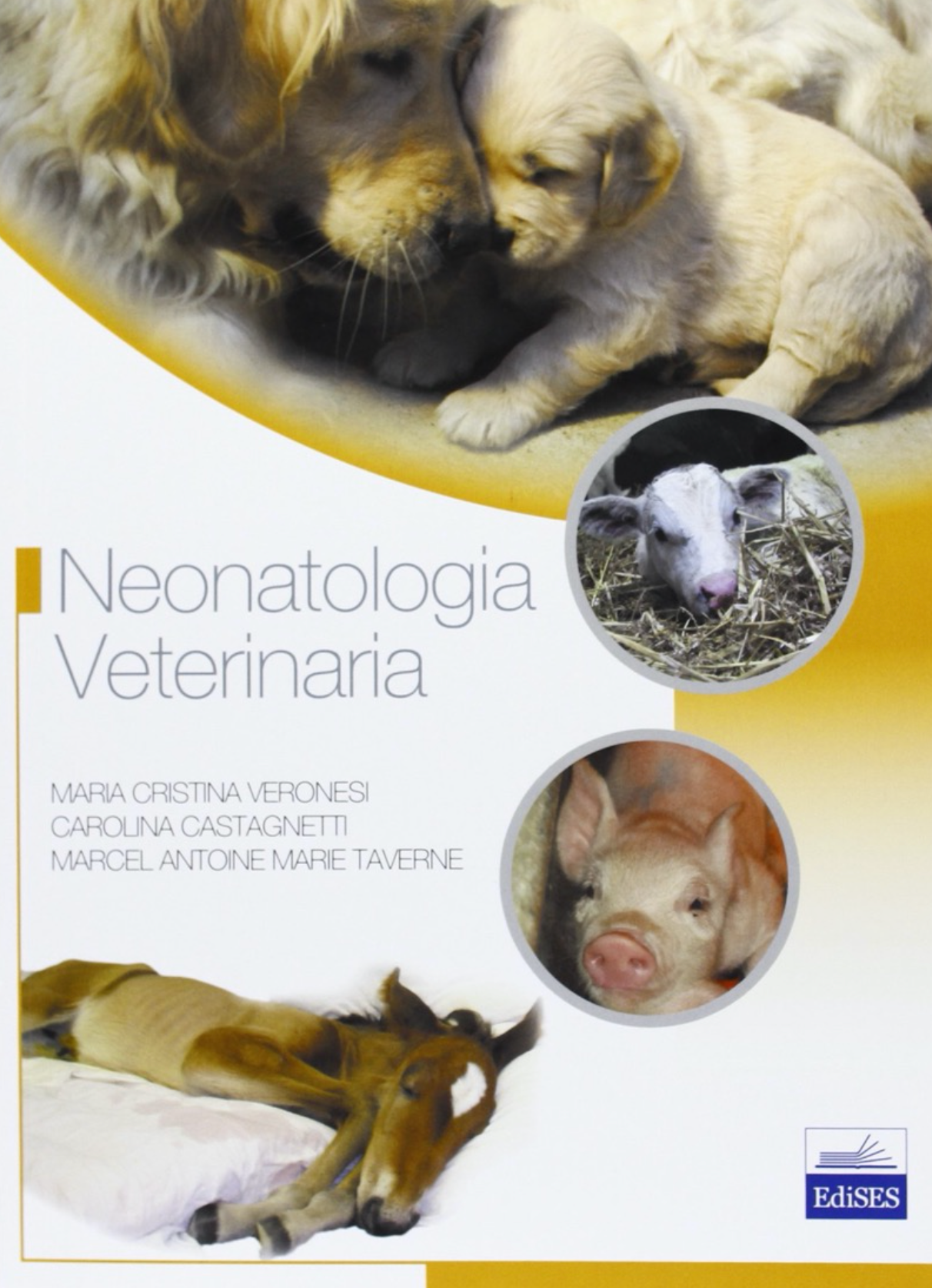 Neonatologia veterinaria