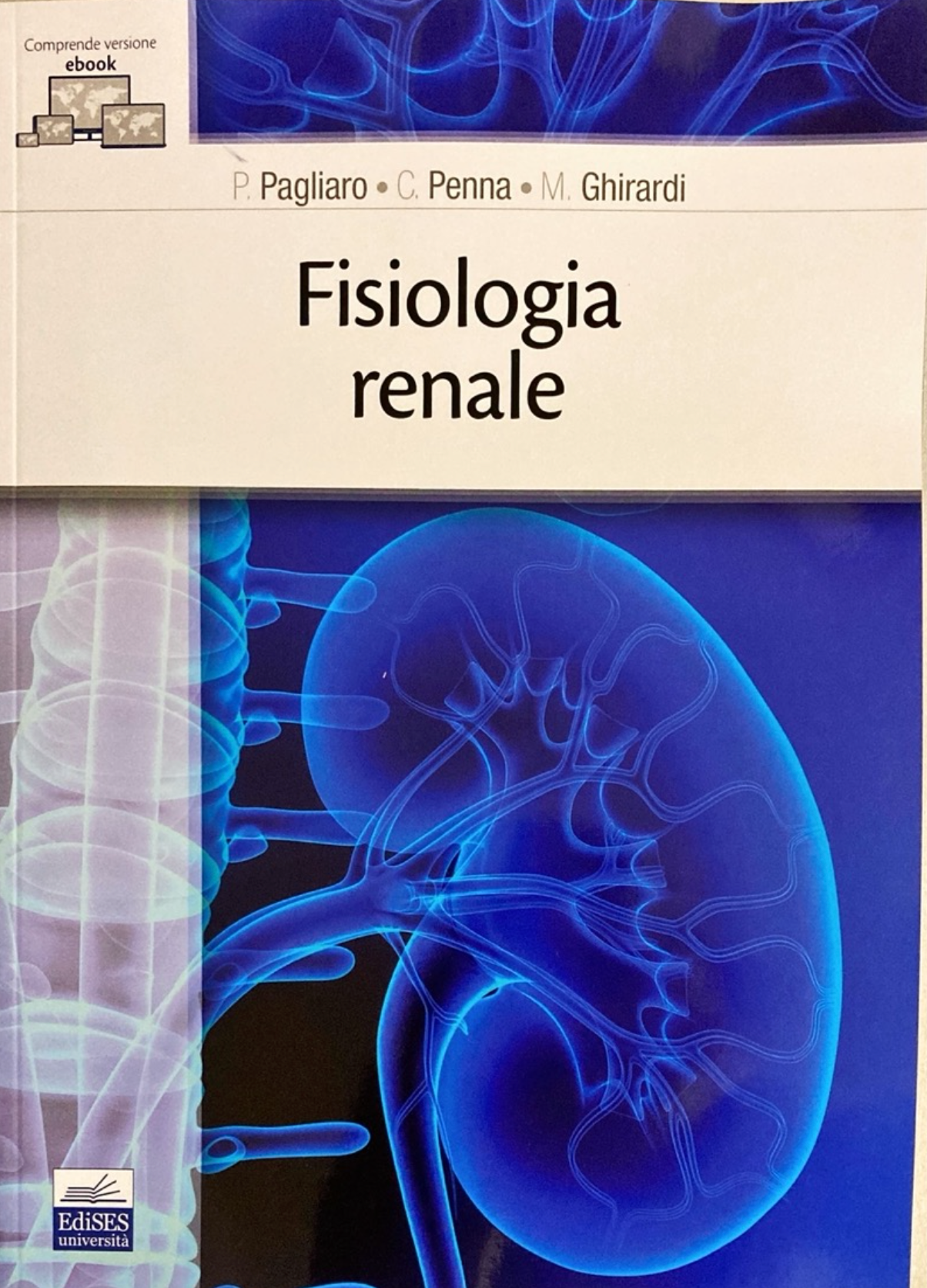 Fisiologia renale