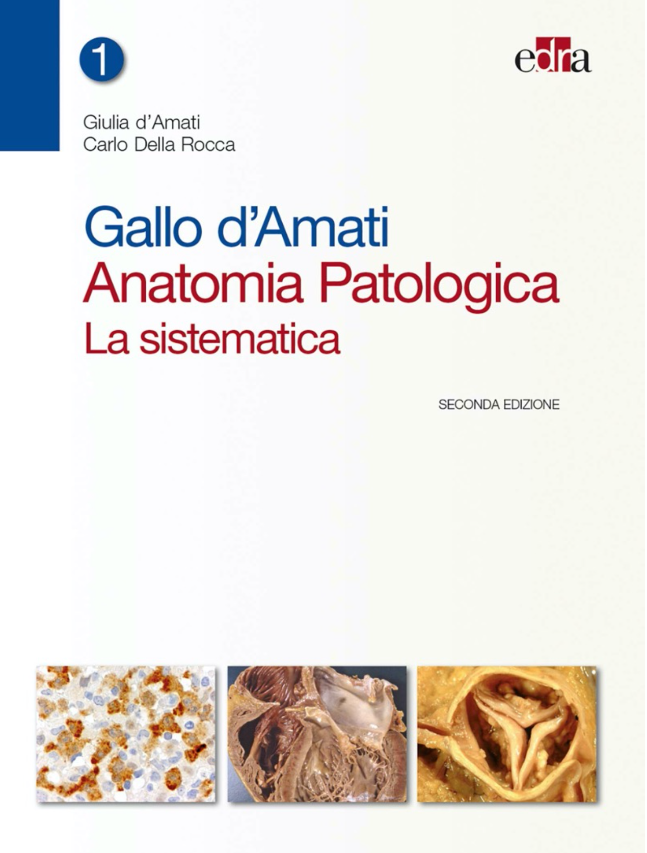 Anatomia patologica - La sistematica