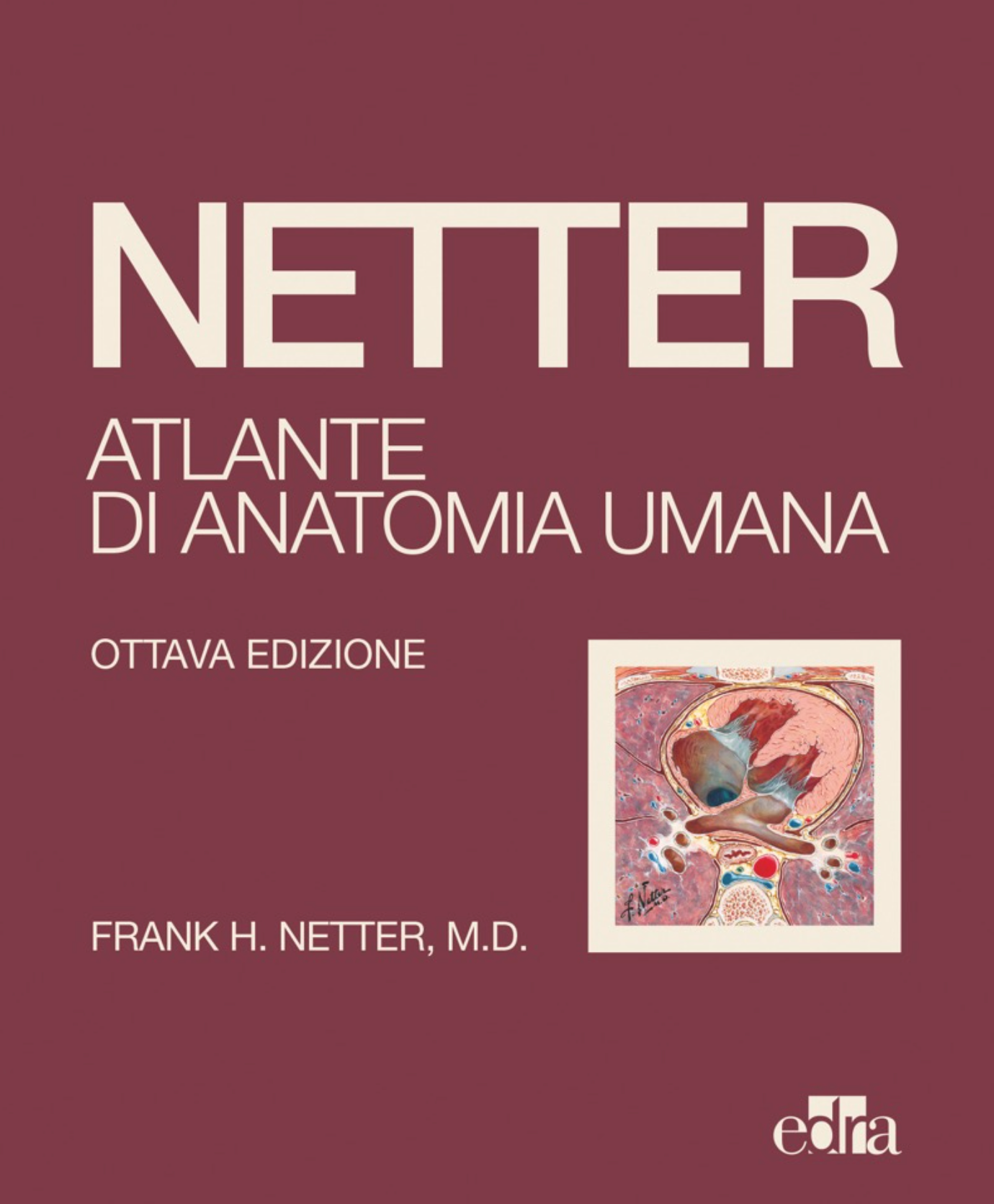 Netter : Atlante di Anatomia Umana