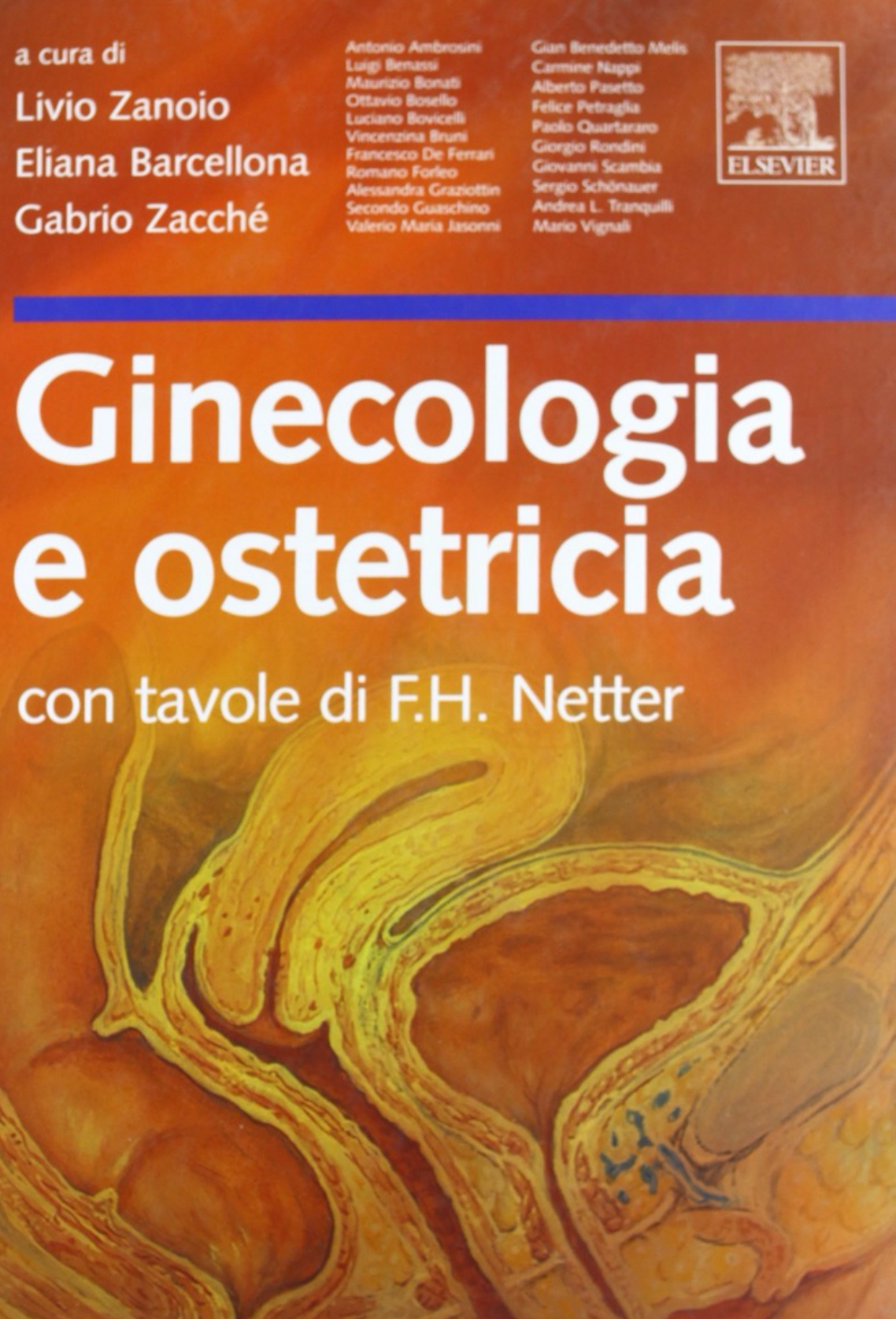 Ginecologia e Ostetricia - con tavole di F. H. Netter