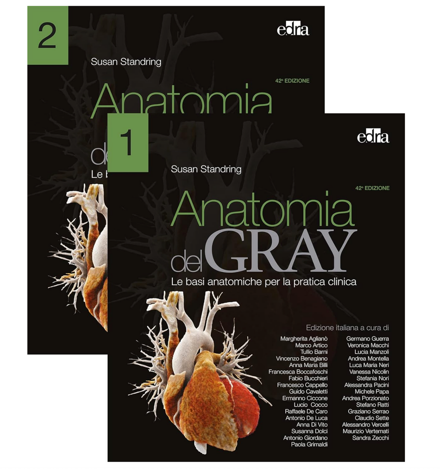 Anatomia del Gray - Le basi anatomiche per la pratica clinica