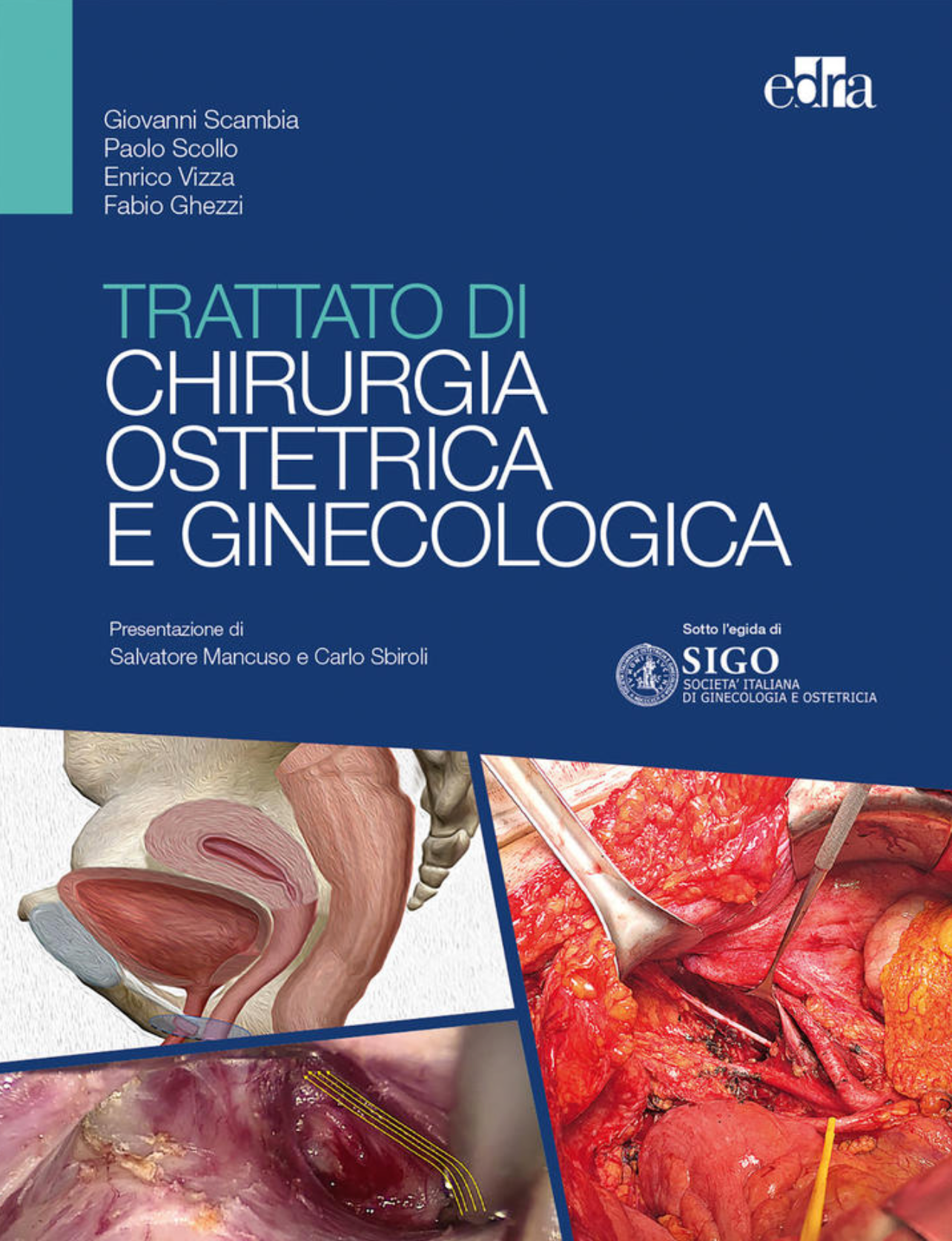 Trattato di chirurgia ostetrica e ginecologica