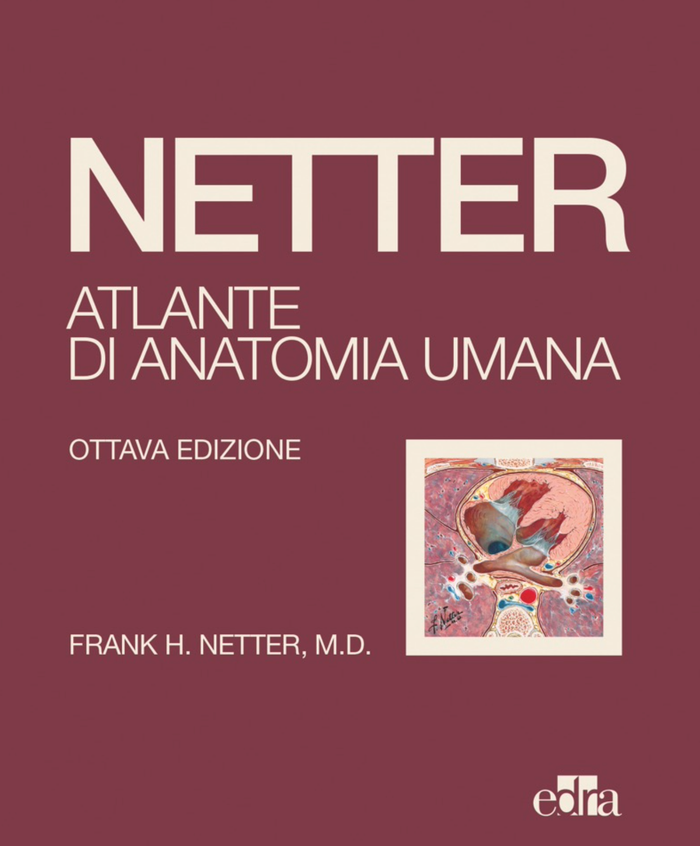 Netter: Atlante di Anatomia Umana