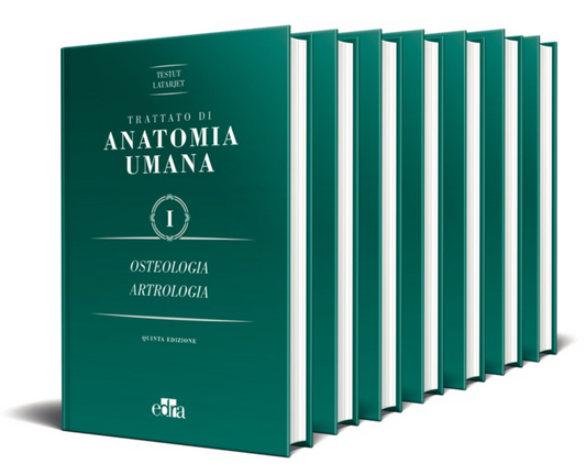 Anatomia umana