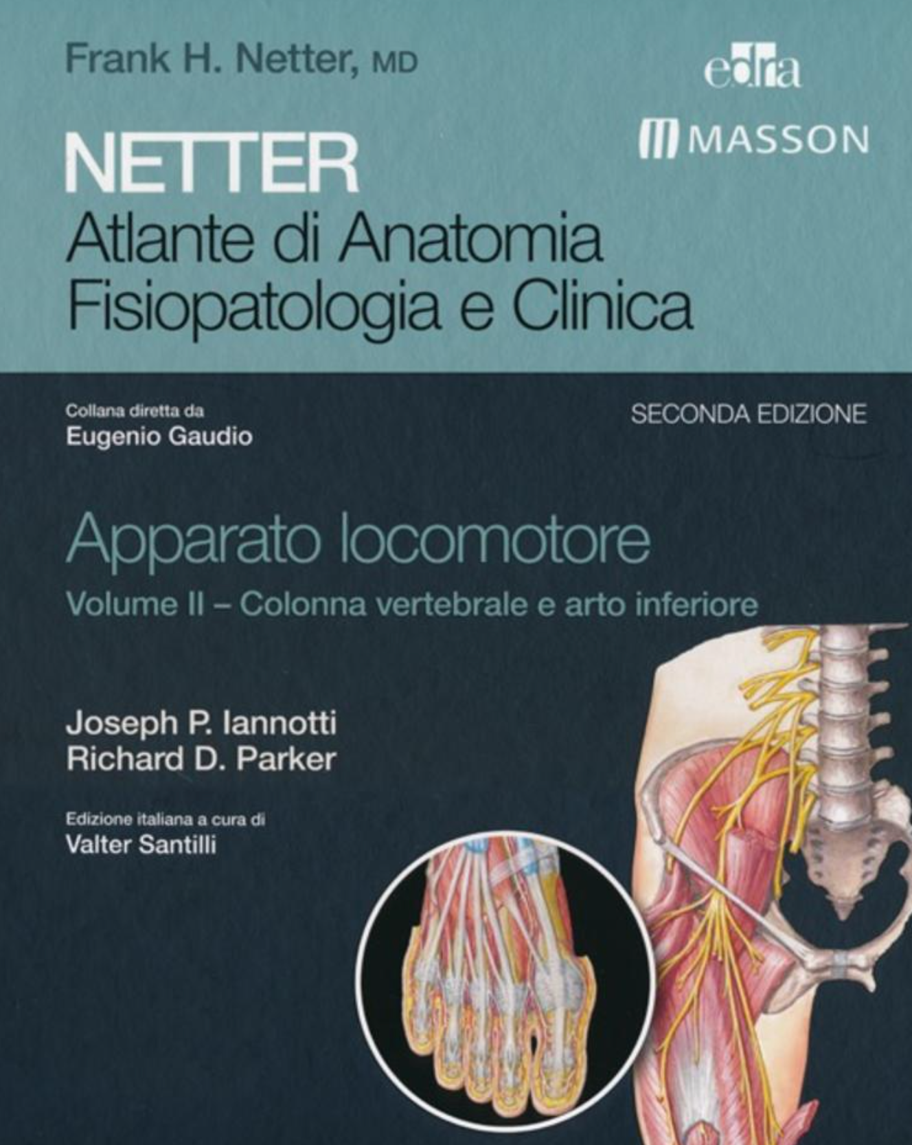 Netter - Atlante di Anatomia Fisiopatologia e Clinica - Apparato Locomotore - Colonna Vertebrale e Arto Inferiore - Guida alla valutazione e al trattamento