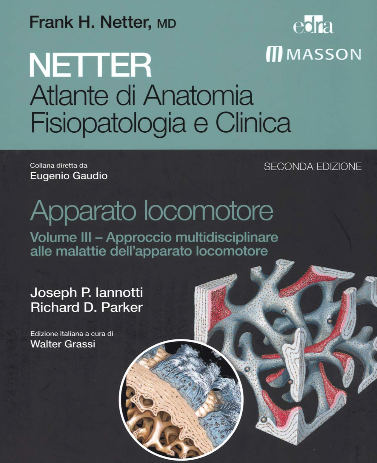 Netter - Atlante di Anatomia Fisiopatologia e Clinica - Apparato Locomotore - Approccio multidisciplinare alle malattie dell' apparato locomotore