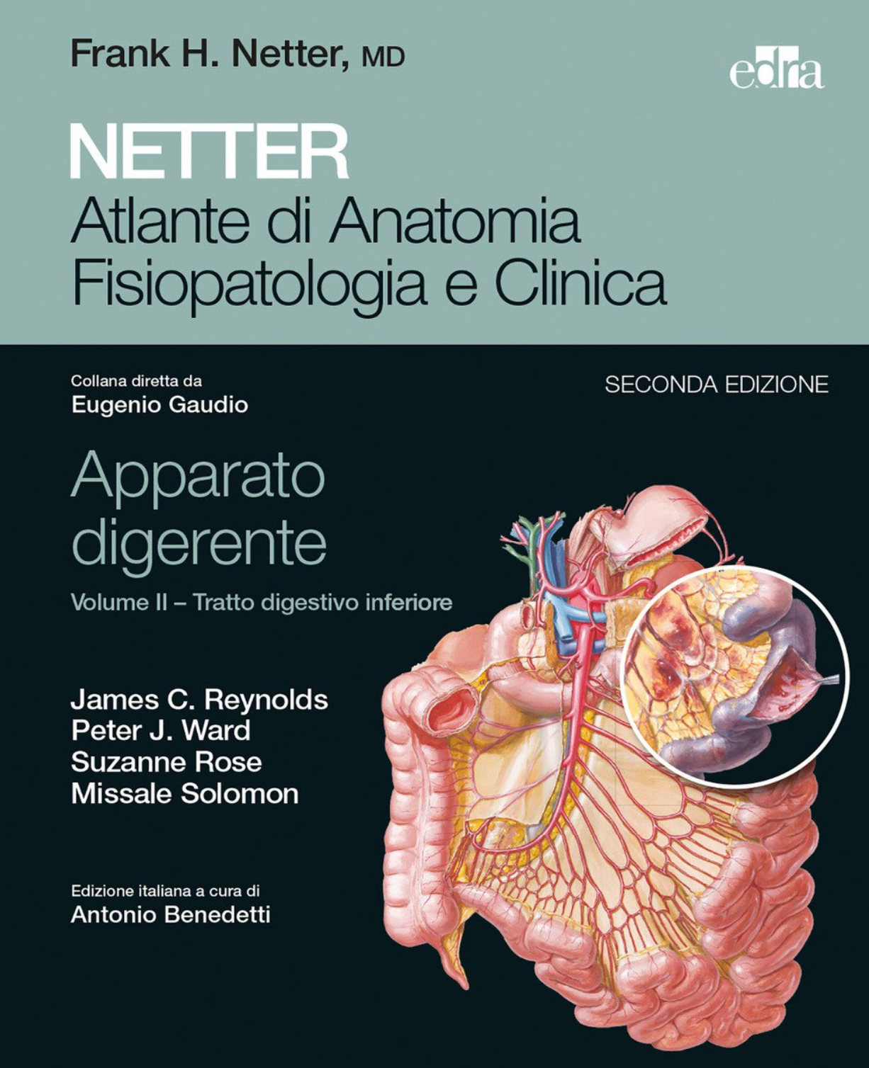 Netter - Atlante di Anatomia - Fisiopatologia e Clinica - Apparato digerente - Volume 2 Tratto digestivo inferiore