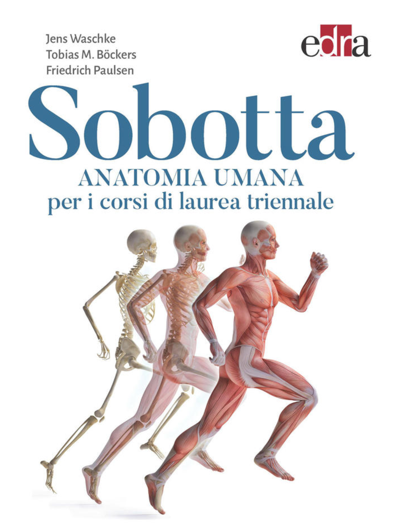 Sobotta - Anatomia Umana per i corsi di laurea triennale