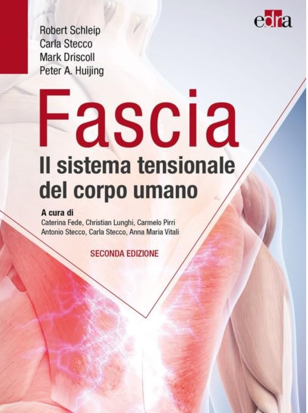 Fascia - Il sistema tensionale del corpo umano