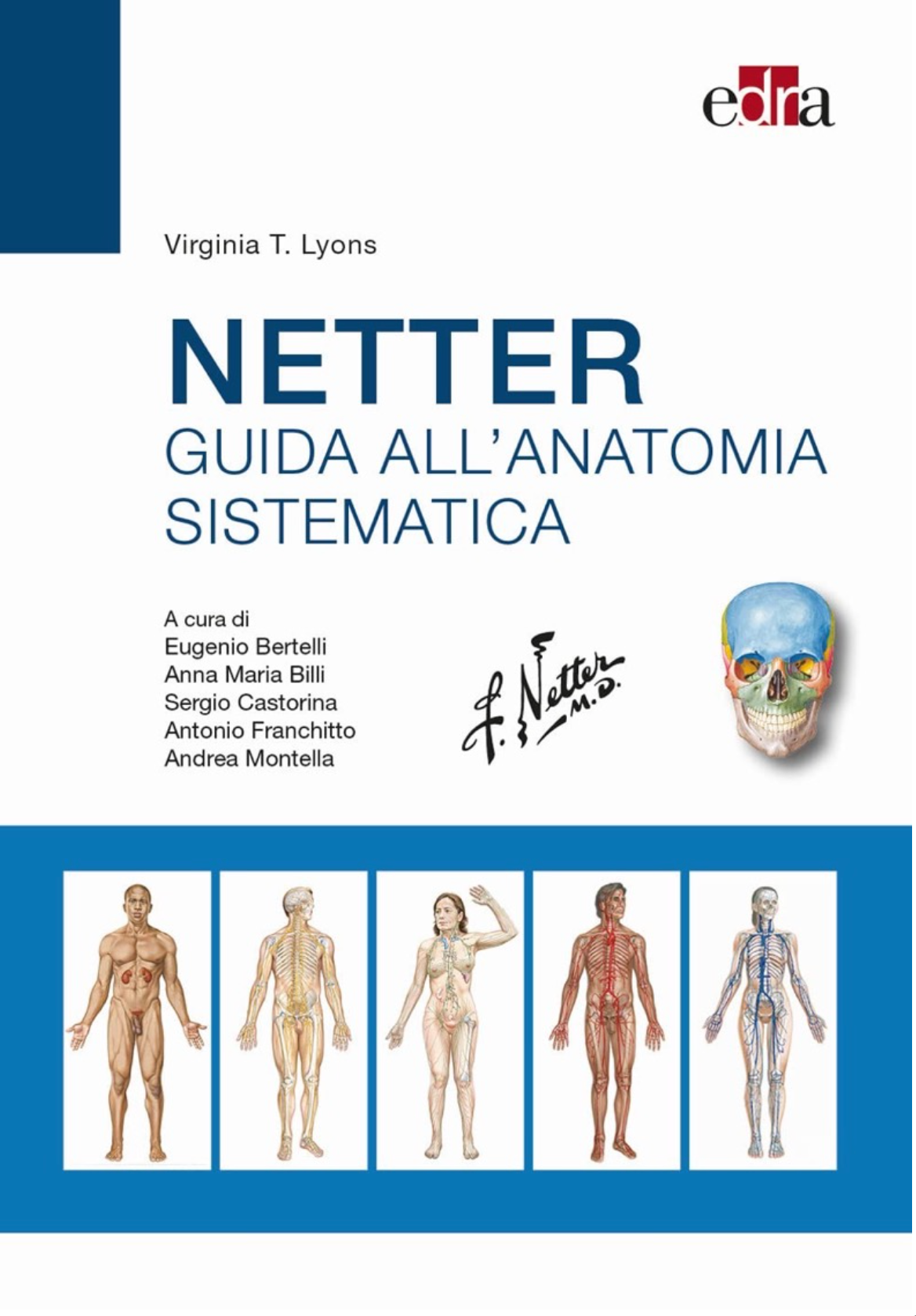 Netter - Guida all'anatomia sistematica