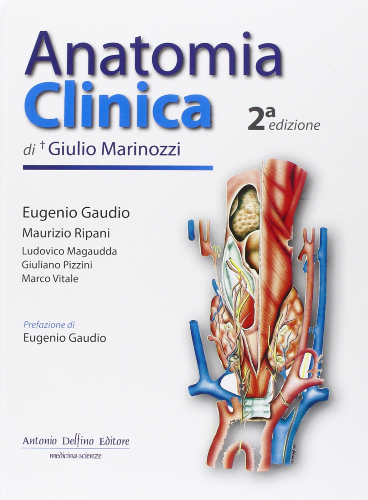 Anatomia clinica