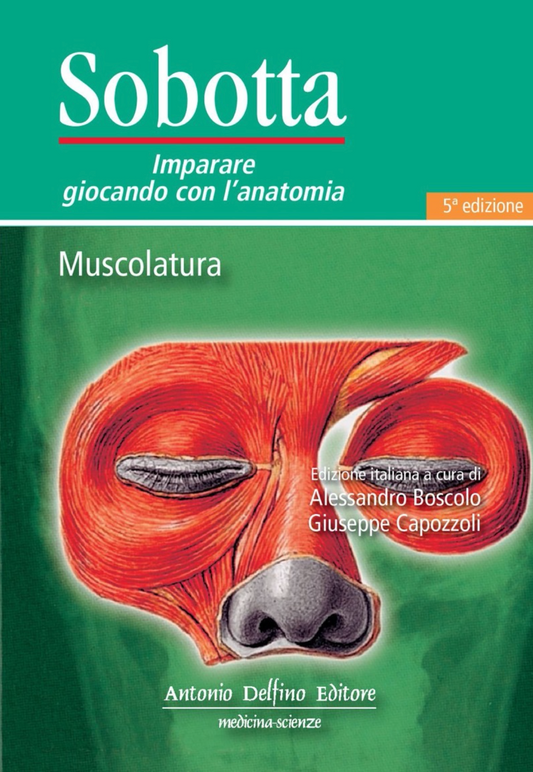 SOBOTTA Imparare giocando con l'anatomia Muscolatura