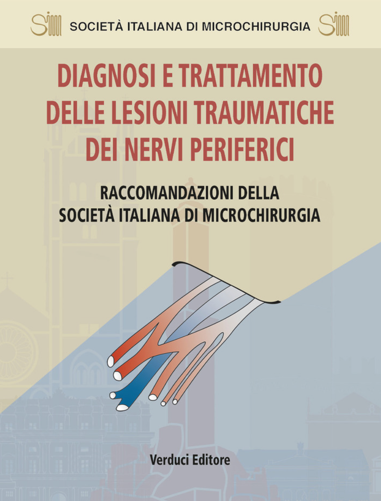 Diagnosi e Trattamento delle Lesioni Traumatiche dei Nervi Periferici – Raccomandazioni della Società italiana di Microchirurgia