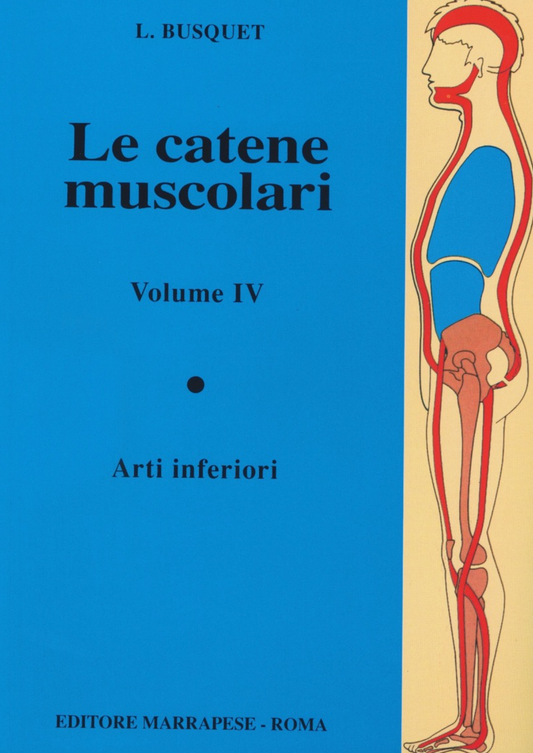 Le catene muscolari - Arti inferiori