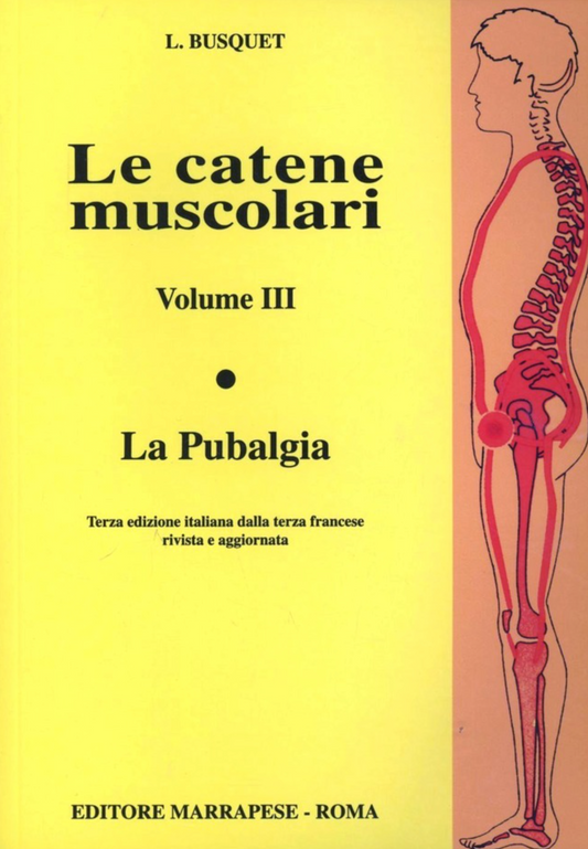 Le catene muscolari - La pubalgia