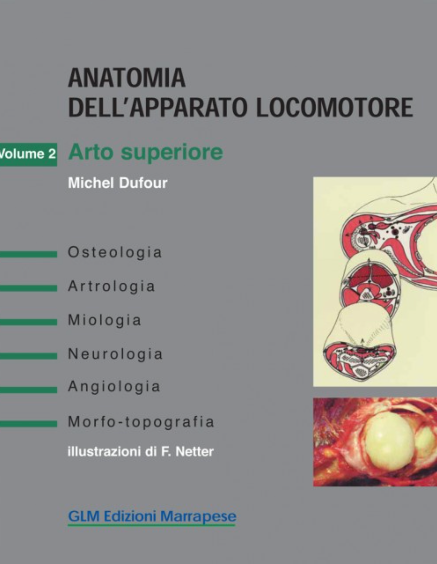 Anatomia dell' apparato locomotore - Arto superiore - Osteologia - Artrologia - Miologia - Neurologia - Angiologia - Morfo-topografia