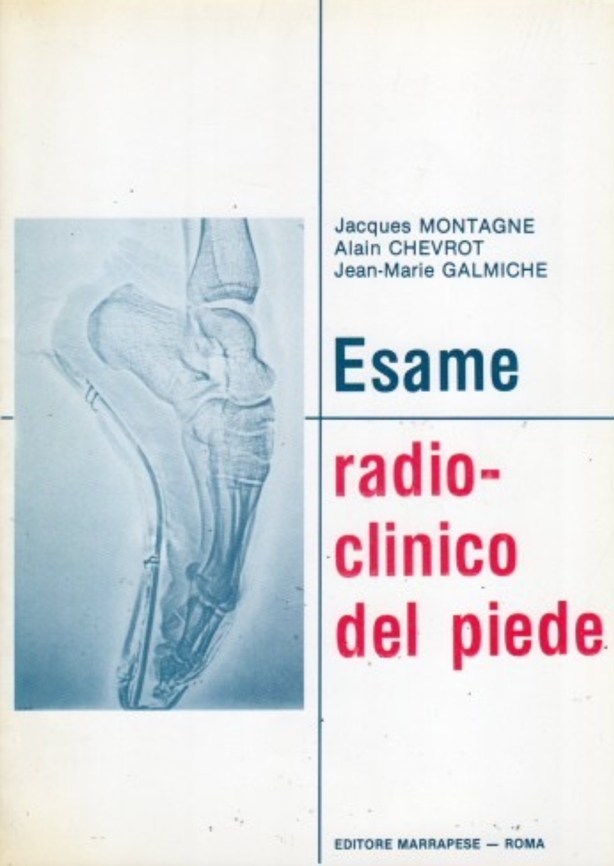 Esame radio - clinico del piede