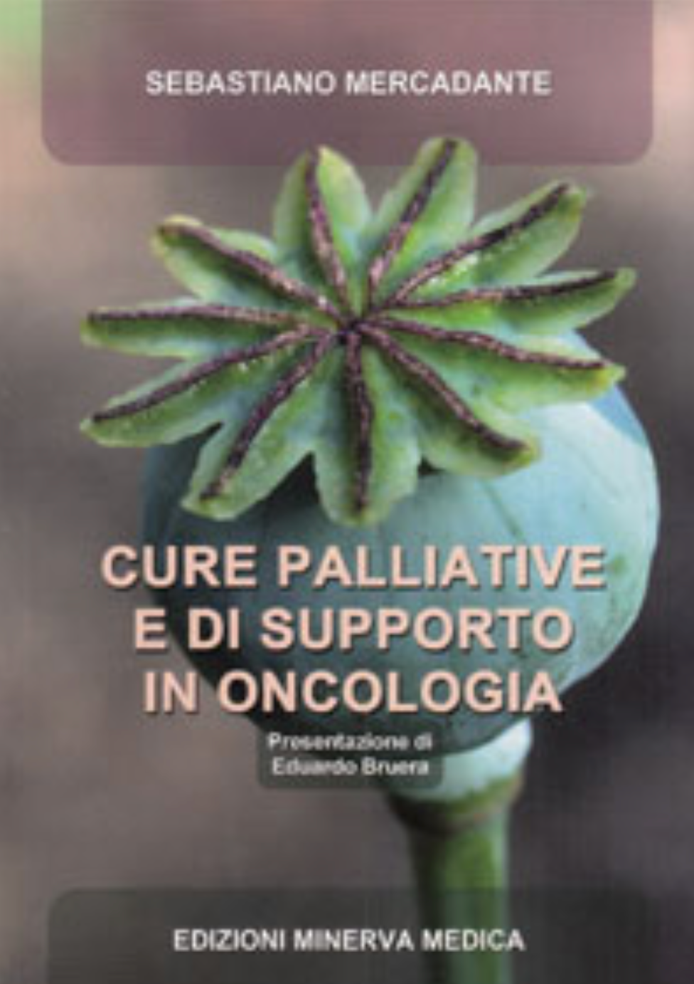 Cure palliative e di supporto in oncologia