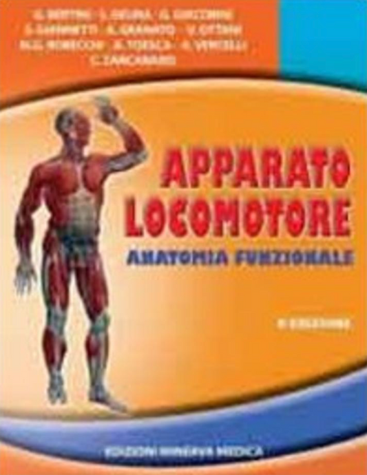 Apparato locomotore - Anatomia funzionale