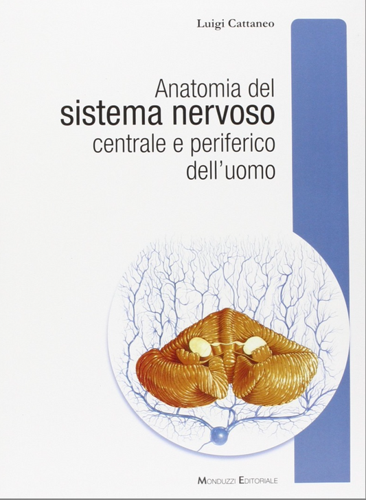 Anatomia del Sistema Nervoso centrale e periferico dell' uomo