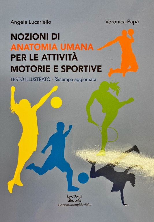 Nozioni di Anatomia Umana Per le Attività Motorie e Sportive