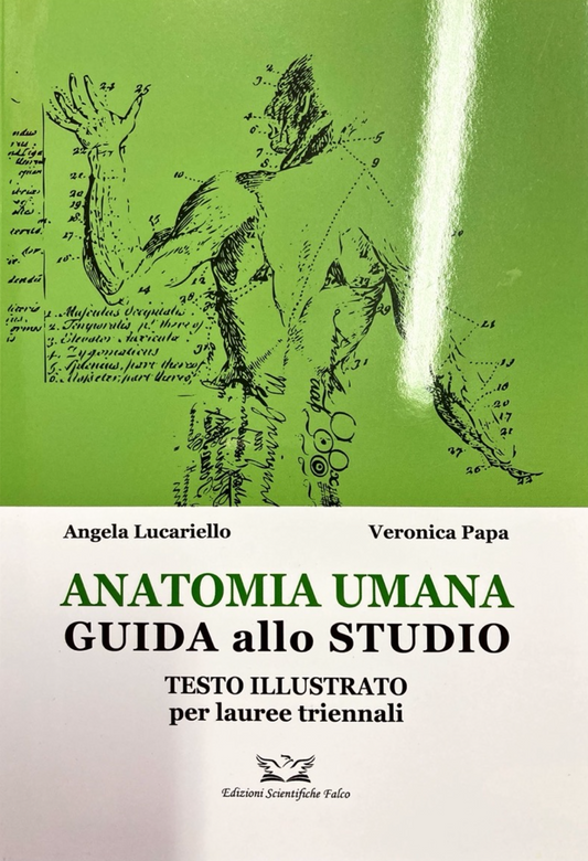 Anatomia umana - Guida allo studio - Testo illustrato per lauree triennali