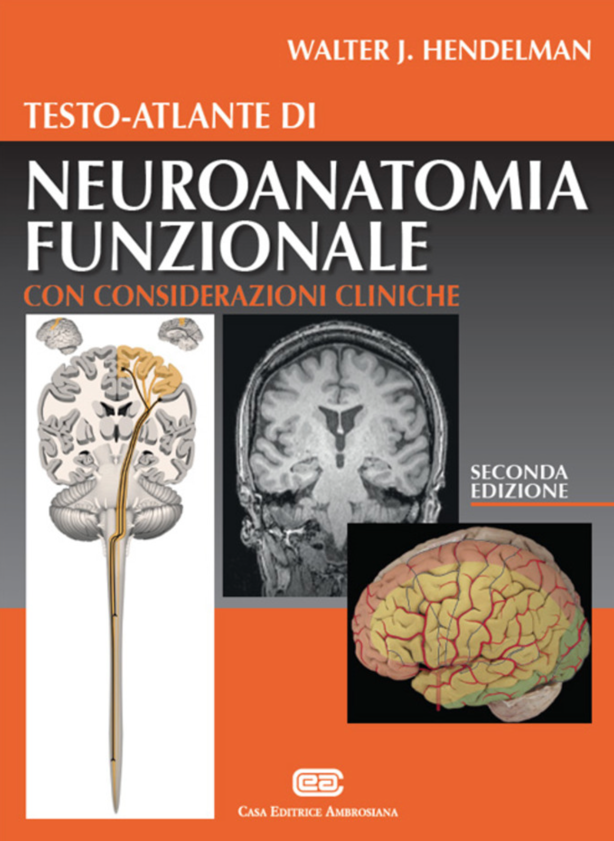 Testo Atlante di Neuroanatomia funzionale - con considerazioni cliniche