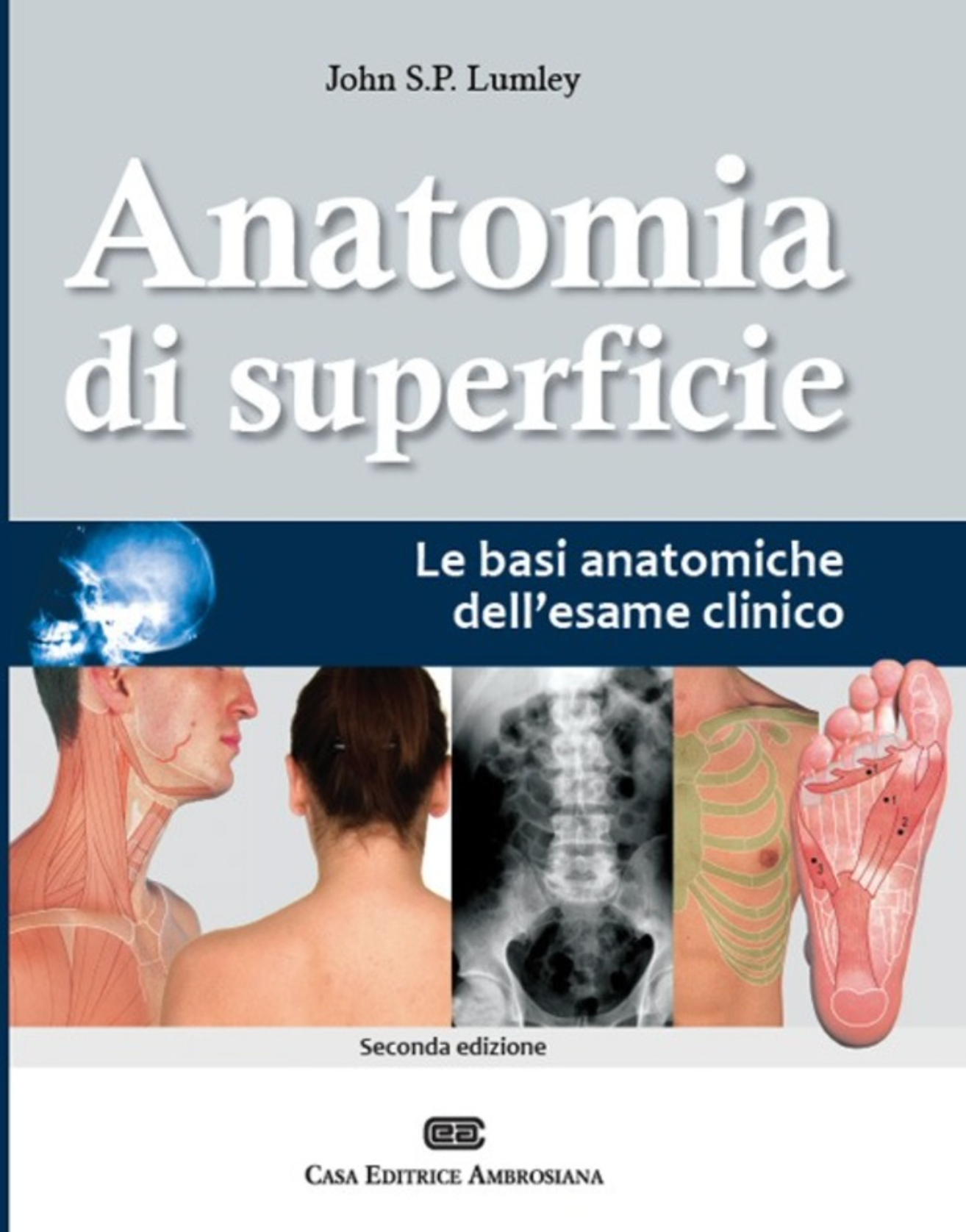 Anatomia di superficie - Le basi anatomiche dell'esame clinico