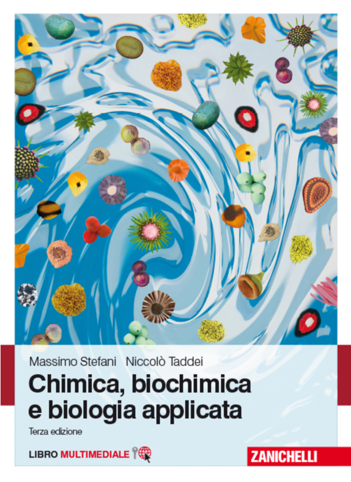 Chimica biochimica e biologia applicata