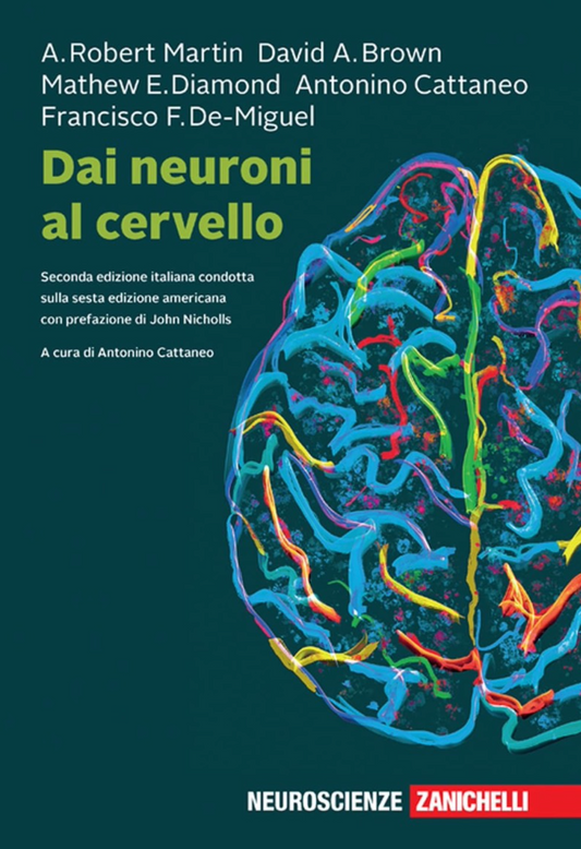 Dai neuroni al cervello