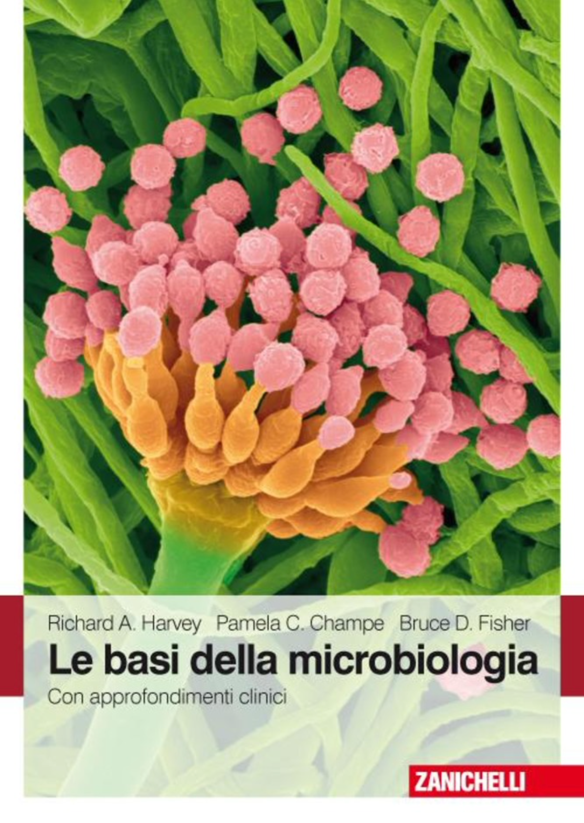 Le Basi della Microbiologia - Con Approfondimenti Clinici