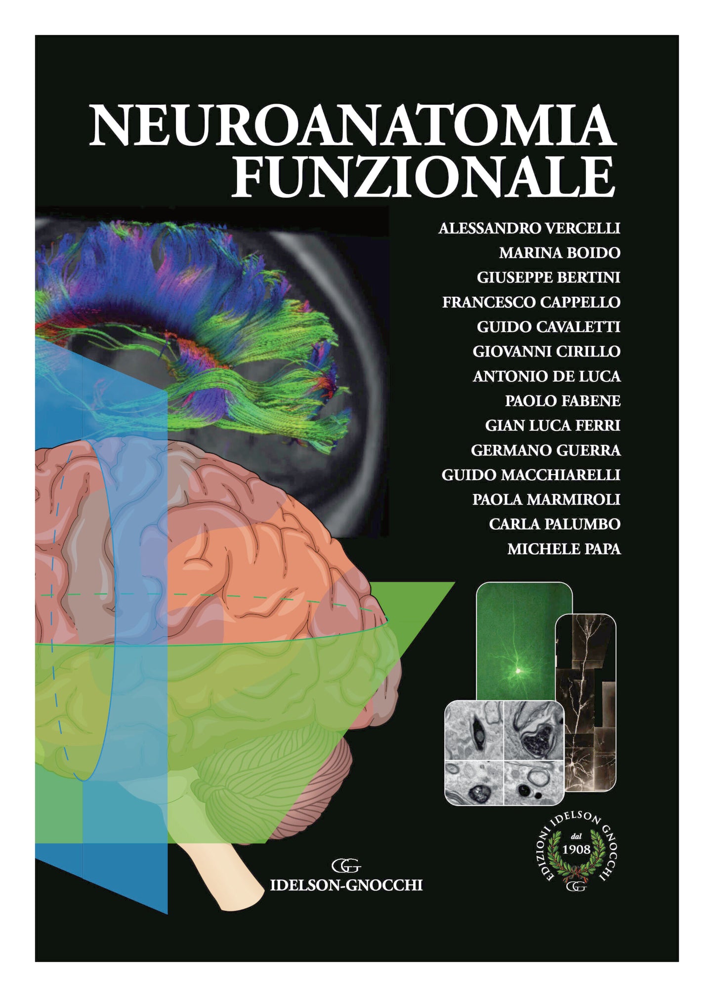 Neuroanatomia Funzionale