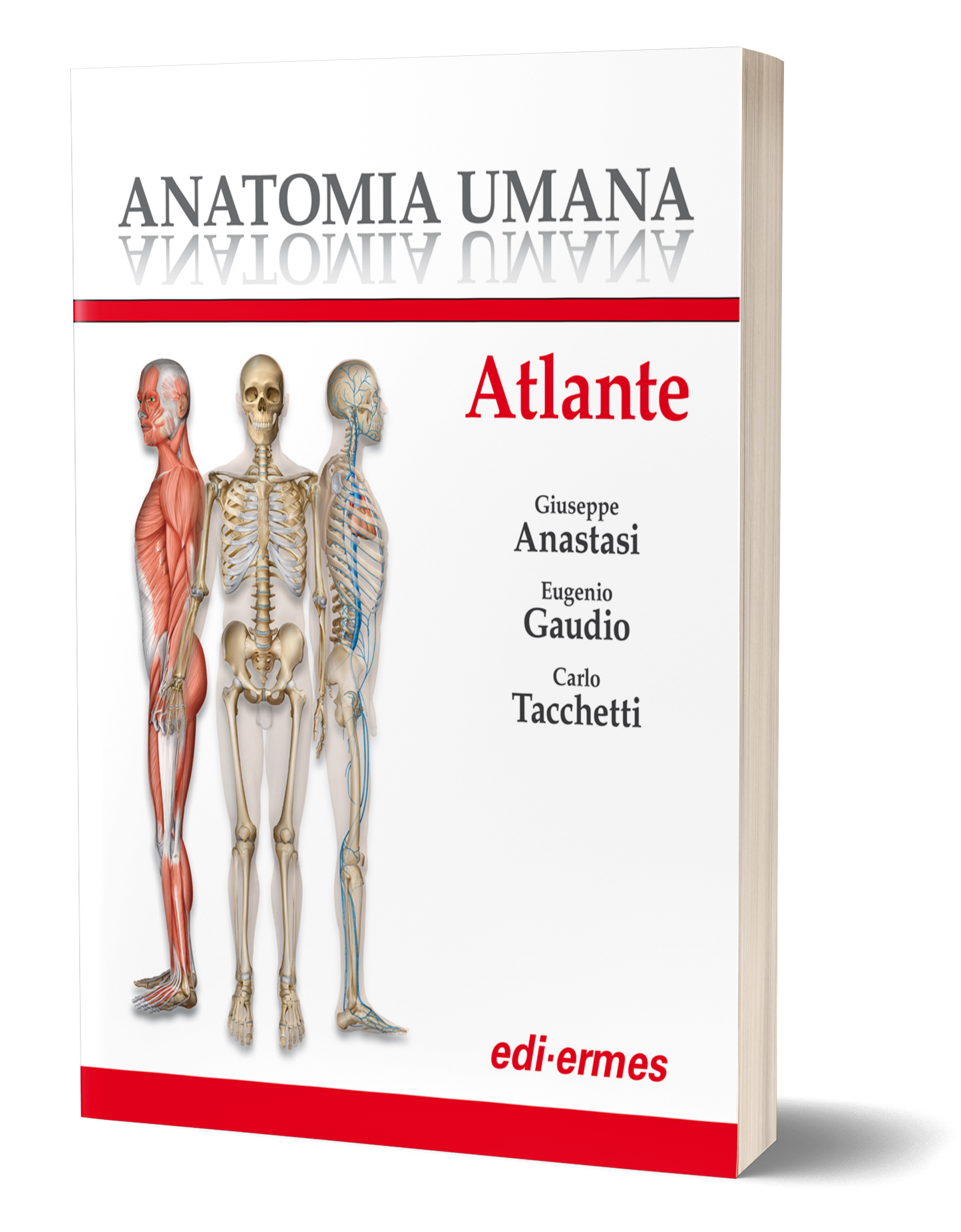 ANATOMIA UMANA - ATLANTE