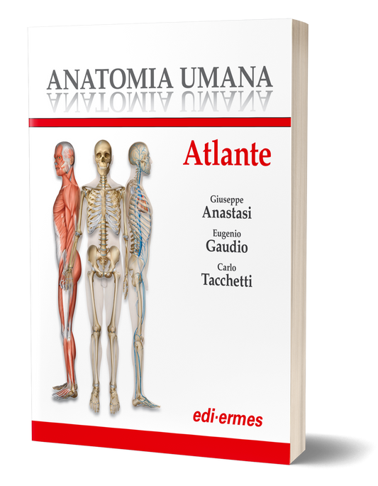 ANATOMIA UMANA - ATLANTE