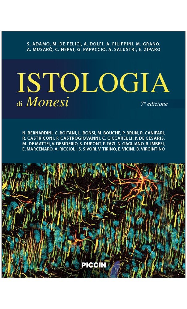 Istologia di Monesi